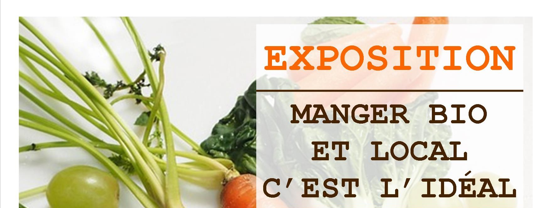 Manger bio et local, c’est l’idéal ! monchermedia